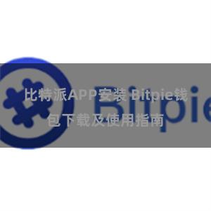 比特派APP安装 Bitpie钱包下载及使用指南