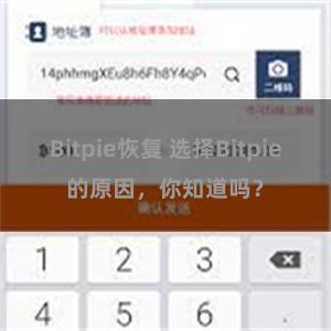 Bitpie恢复 选择Bitpie的原因，你知道吗？