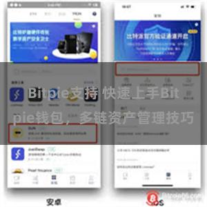 Bitpie支持 快速上手Bitpie钱包，多链资产管理技巧