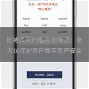 比特派用户指南 比特派：全方位保护用户数字资产安全