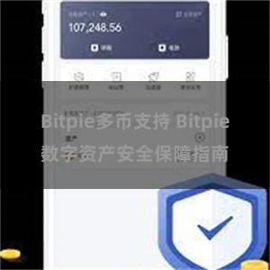 Bitpie多币支持 Bitpie数字资产安全保障指南