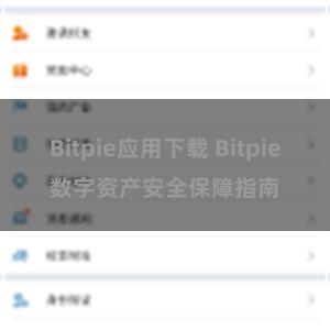 Bitpie应用下载 Bitpie数字资产安全保障指南