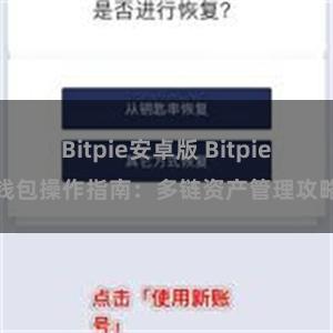 Bitpie安卓版 Bitpie钱包操作指南：多链资产管理攻略