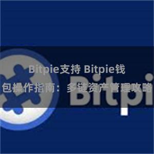 Bitpie支持 Bitpie钱包操作指南：多链资产管理攻略