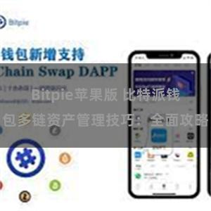 Bitpie苹果版 比特派钱包多链资产管理技巧：全面攻略