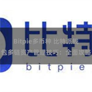 Bitpie多币种 比特派钱包多链资产管理技巧：全面攻略