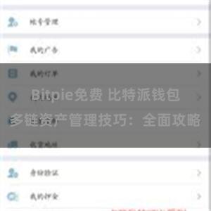 Bitpie免费 比特派钱包多链资产管理技巧：全面攻略