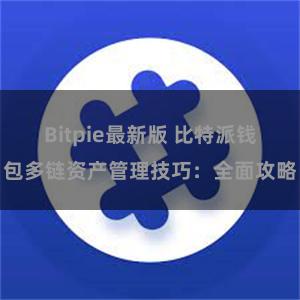 Bitpie最新版 比特派钱包多链资产管理技巧：全面攻略