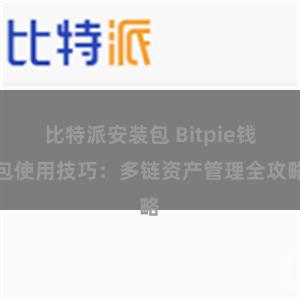 比特派安装包 Bitpie钱包使用技巧：多链资产管理全攻略