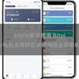 Bitpie新手指南 Bitpie钱包支持的区块链网络全面解析