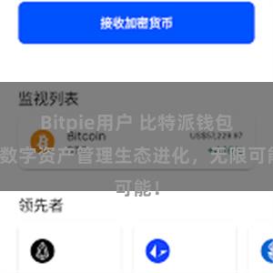 Bitpie用户 比特派钱包：数字资产管理生态进化，无限可能！