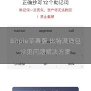 Bitpie苹果版 比特派钱包常见问题解决方案