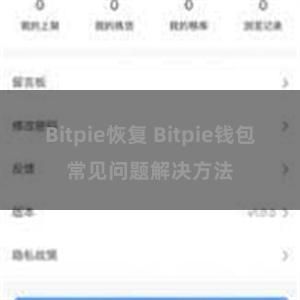 Bitpie恢复 Bitpie钱包常见问题解决方法