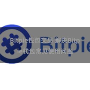 Bitpie钱包交易 解决Bitpie钱包常见使用问题