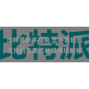 比特派新手指南 比特派钱包支持的主要区块链网络解析