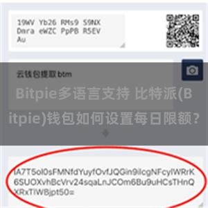 Bitpie多语言支持 比特派(Bitpie)钱包如何设置每日限额？