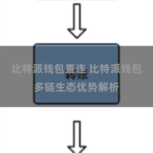 比特派钱包直连 比特派钱包多链生态优势解析