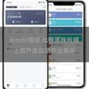 Bitpie提现 比特派钱包链上资产追踪功能全解析