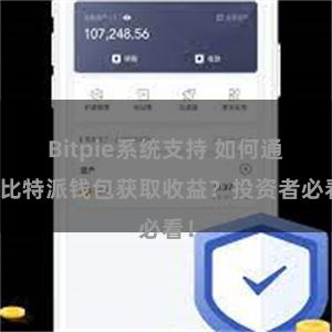 Bitpie系统支持 如何通过比特派钱包获取收益？投资者必看！