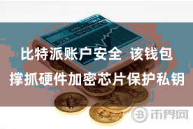比特派账户安全  该钱包撑抓硬件加密芯片保护私钥